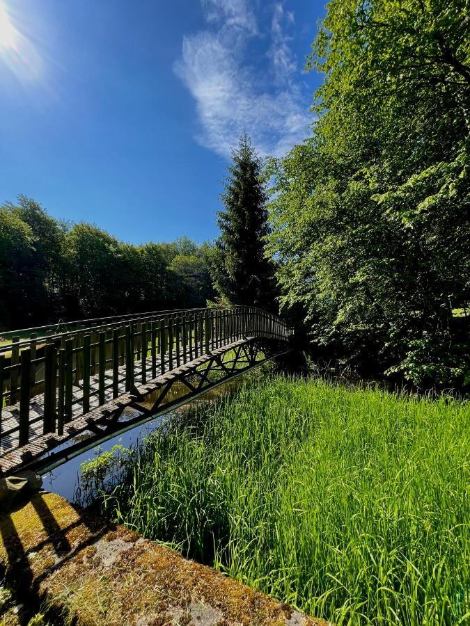 Domek W Glebi Lasu Nad Stawem Wierszyno Kültér fotó